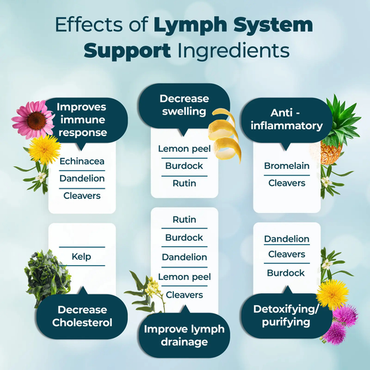 Restored™ Lymph System Support